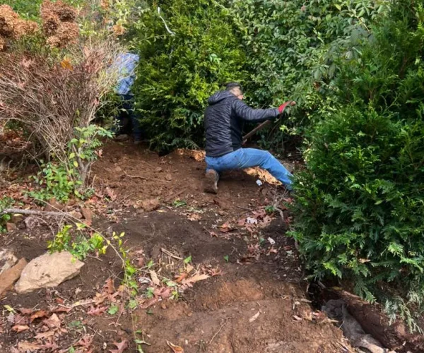 M&J TREE PROJECTS (29)