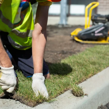 a-landscape-gardener-is-laying-turf-for-a-new-lawn-2026-01-07-02-30-35-utc