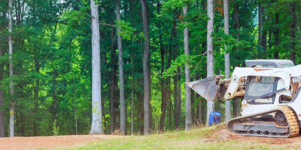 it-is-essential-to-move-ground-with-a-bulldozer-in-2026-01-09-08-08-41-utc