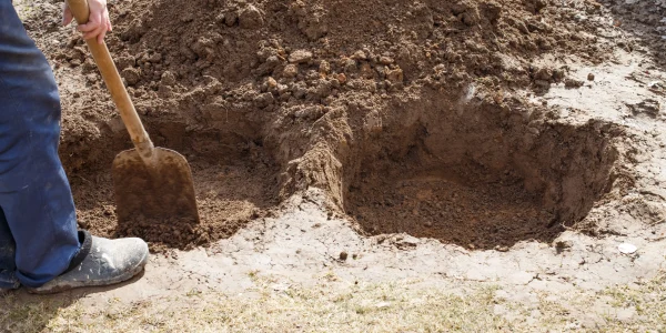man-digging-a-hole-for-planting-a-fruit-tree-in-th-2026-01-08-08-04-43-utc
