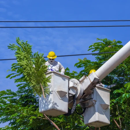 two-electricians-on-crane-truck-cutting-high-tree-2026-01-08-22-07-14-utc