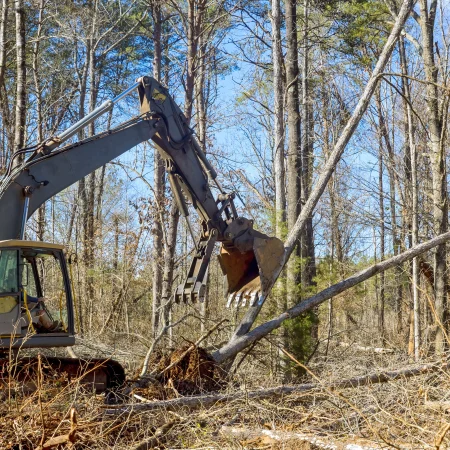 worker-removing-trees-from-forests-preparing-grou-2026-01-09-08-29-37-utc