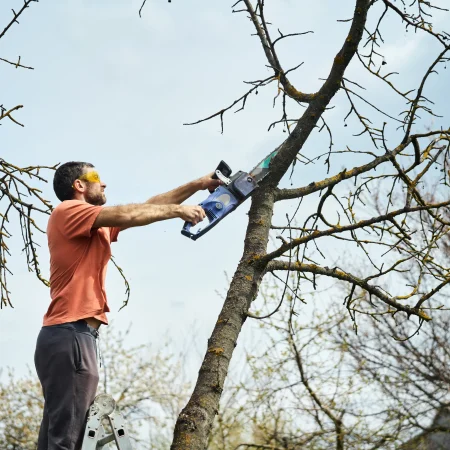 young-man-cutting-trees-using-electrical-chainsaw-2026-01-25-02-04-03-utc